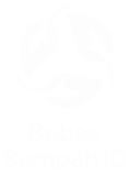 Logo Program