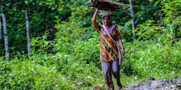 Aceh-woman-CIFOR_Greeneration-Foundation-624x311-1.jpg