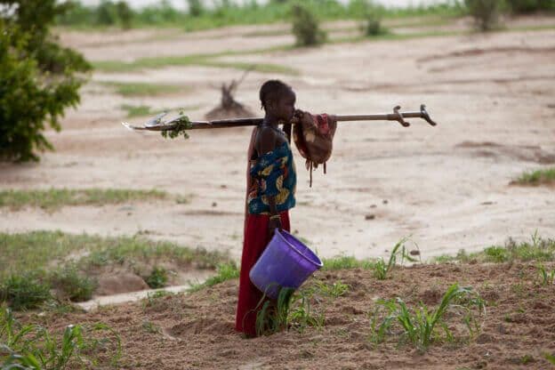 Girl-returning-from-a-days-work-on-a-large-farm-in-Niger-West-Africa_Alamy-Stock-Photo-Mike-Goldwater-Greeneration-Foundation-624x416-1.jpg